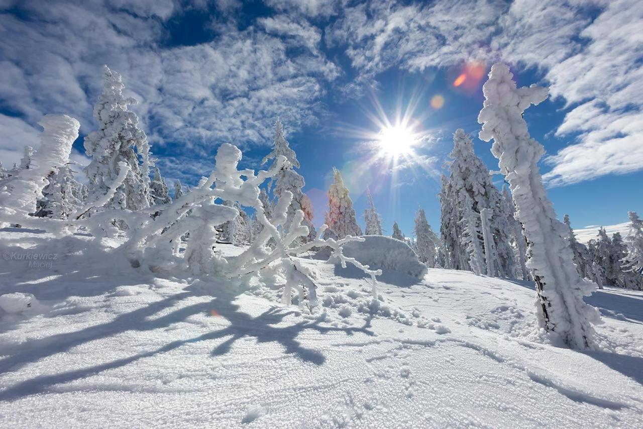 Domek 4Seasons Karpacz Z Prywatna Sauna I Kominkiem Esterno foto